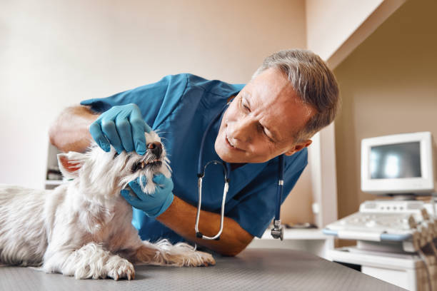 Best Emergency Dental Surgery in Middletown, DE